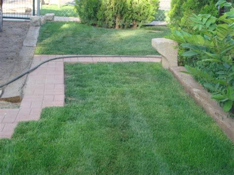 Rtf is the ideal solution for a turf that has to cope with drought and suffers from bare spots. Hoe Plant Water Saver RTF graszaad - cadagile.com