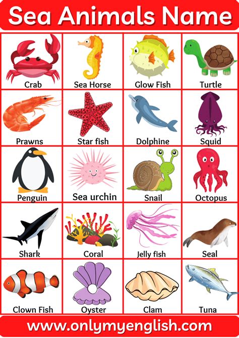 Water Animals Names Sea Aquatic Ocean And Animals With Pictures List