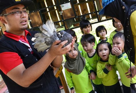 Berdasarkan peraturan pemerintah nomor 49 tahun 2018 terkat manajemen pppk, pppk didefinisikan sebagai warga negara indonesia (wni) berikut ini adalah informasi penerimaan p3k, pendaftaran p3k kesehatan 2021, cara daftar pppk tahun 2021, pendaftaran p3k 2021 untuk umum. Lawatan Sambil Belajar 2018 | Tadika Little Jannah Salak ...