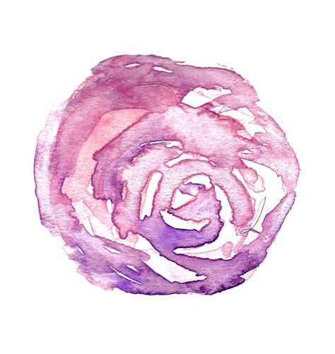 Cute Dibujos Animados Pnges Acuarela Vector Png Watercolor Rose Rose Images