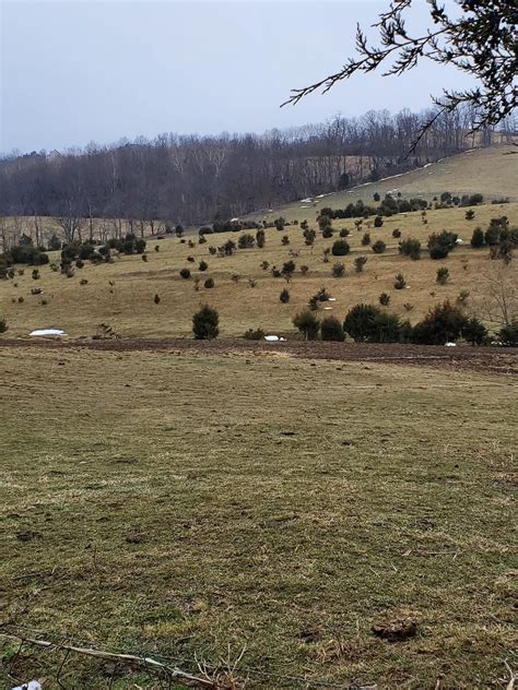 Fairfield Rockbridge County Va Farms And Ranches For Sale Property Id
