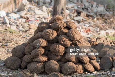 Pile Of Poo Photos And Premium High Res Pictures Getty Images
