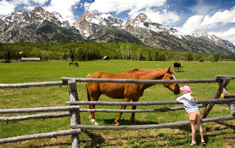 Dude Ranch Blog Dude Ranches In Wyoming Wyoming Dude Ranch Association
