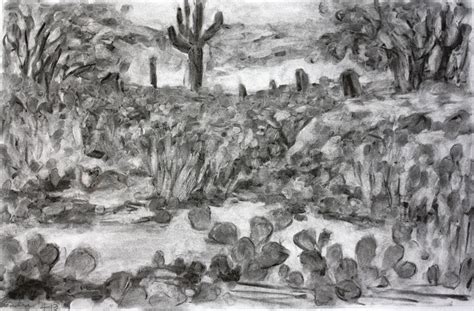 Charcoal Drawing Study For Painting Saguaro East 7 Sandra Janeen