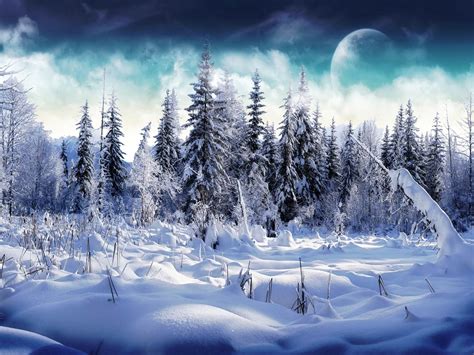 There has been snowfall every day this week. wallpaper: Snow Desktop Wallpapers and Backgrounds