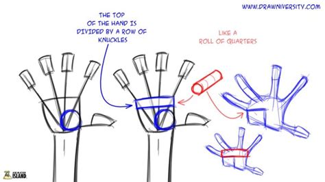 Tips For Drawing Hands 101 Animator Island