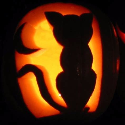 20 Jack O Lantern Cat Ideas