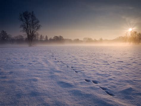 Meadows In Winter Jan Bainar Photography
