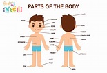 Teach Kids - Human Body Parts Names & Its Functions