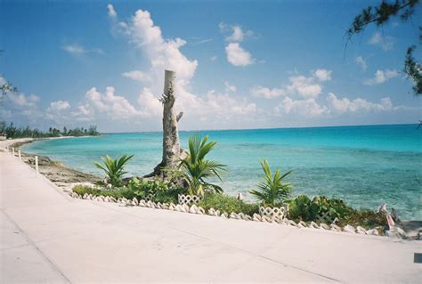 cat island bahamas | Cat island Bahamas img20 | Cat island bahamas, Bahamas island, Cat island