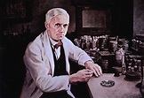 Alexander Fleming (1881-1955) History (36 x 24) - Walmart.com - Walmart.com