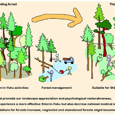 Pdf Management Effectiveness Of A Secondary Coniferous Forest For