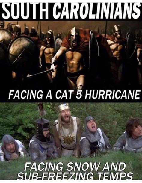 🤣 South Carolina Cat Quotes Funny Weather Memes Funny Pictures
