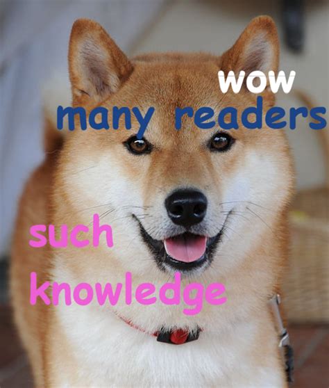 What The Revival Of The Ancient Doge Meme Tells Us About The Internet