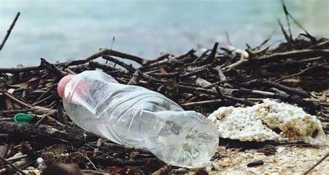 Why Are Single Use Plastics Bad For The Environment Plastic Industry