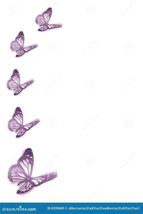 Five Purple Butterflies Stock Illustration Illustration Of