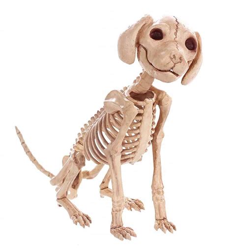 Halloween prop halloween outside halloween skeleton decorations feliz halloween outdoor halloween holidays halloween halloween crafts vintage halloween halloween dog skeleton. Halloween Yard Art for Dog Lovers - The Dogington Post