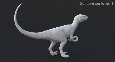 Realistic Velociraptor Rigged Raptor 3d Max