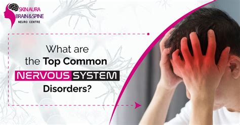 What Are The Top Common Nervous System Disorders