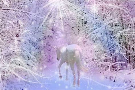 Unicorn In The Snow Beautiful Unicorn Fantasy Unicorn Pictures