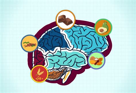 Amazing Brain Foods To Boost Your Memory Circlecare