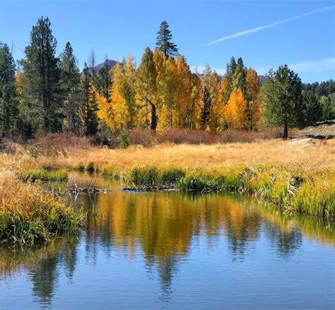 The Best Fall Foliage Can Be Found In Northern Californias Hope Valley