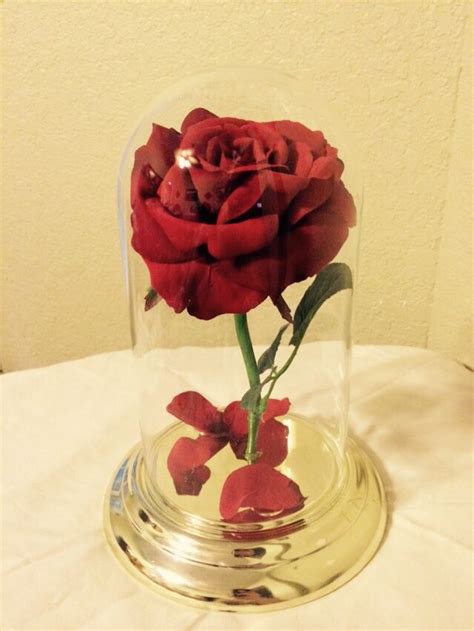 Most recently, zac made a diy beauty and the beast enchanted rose for emily. DIY enchanted rose from beauty and the beast. Made from old clock from thrift store, fake rose ...