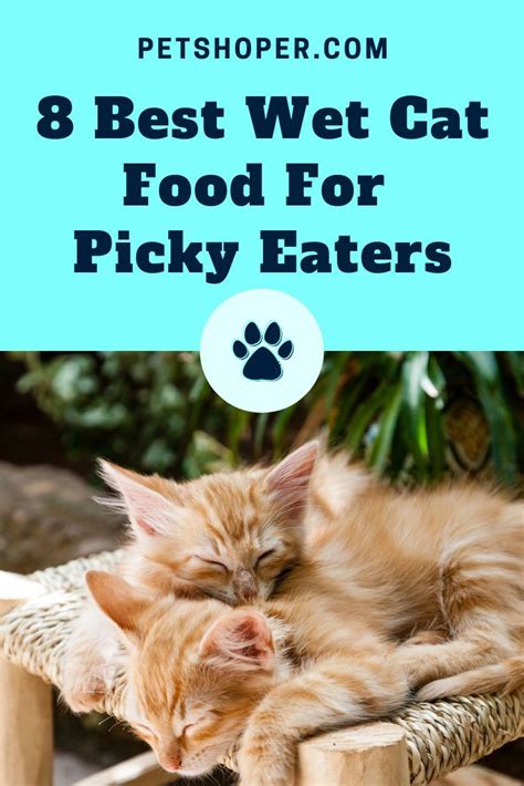 Raw inspired wet cat food: 8 Best Wet Cat Food For Picky Eaters [Buyer's Guides ...