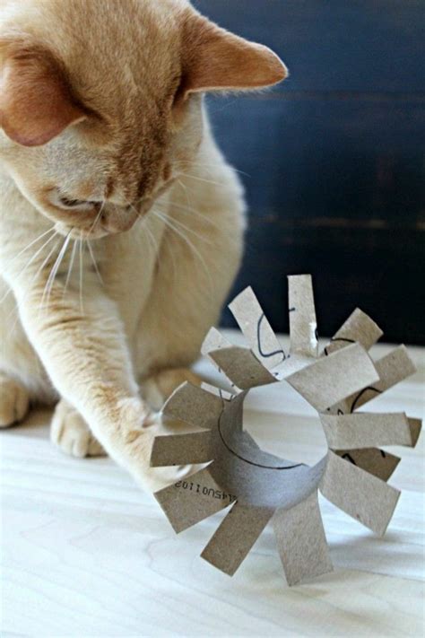 Making Cat Toys Out Of Toilet Paper Rolls Catphotography Jouet Pour Chat Jeux Pour Chat