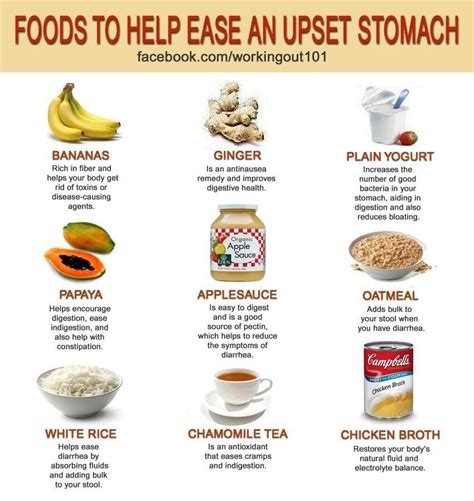 Some dogs cannot digest rice easily and hence may end up being constipated. Foods To Help An Upset Stomach | Upset stomach, Stomach ...