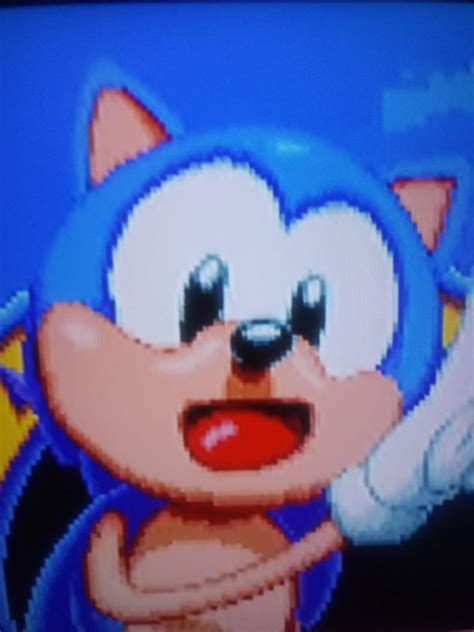 Classic Sonic Wiki Sonic Omniverse Amino