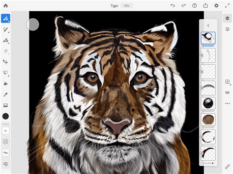 Illustration Tiger On Behance