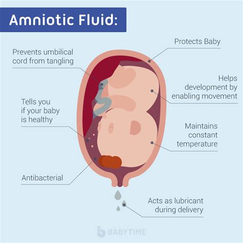 Signs Of Leaking Amniotic Fluid Vs Discharge Intelseka