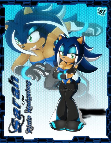 Sarah The Pinto Hedgehog By Nd0308 On Deviantart