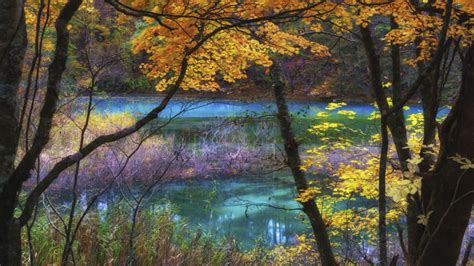 Blue Lake Goshikinuma Fukushima Japan Autumn Scenery Landscape Nature Ultra Hd Wallpapers For