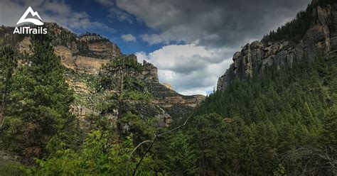 best trails in bighorn national forest wyoming alltrails