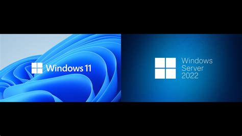 Installing Windows 11 And Windows Server 2022