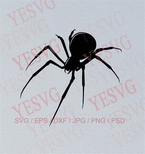 Spider Svg File Spider Clipart Widow Svg Black Widow Svg Etsy