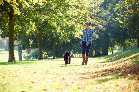 Walking In The Park Wallpapers High Quality Download Free