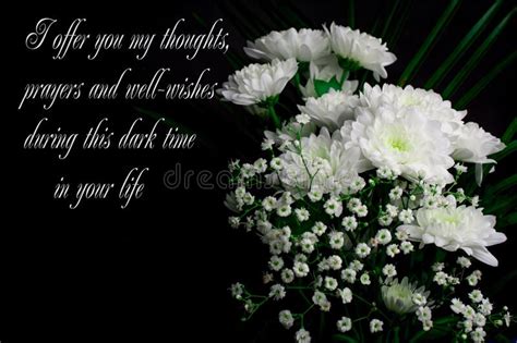 Deepest Condolence White Flowers On Black Background With Text Stock