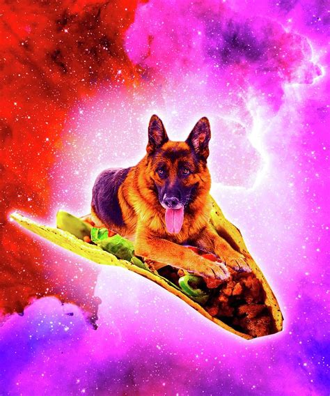 Outer Space Galaxy Dog Riding Taco Digital Art By Random Galaxy Fine