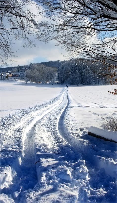 Snowy Path Free Photo Download Freeimages