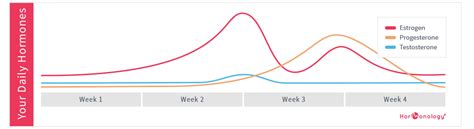 Female Hormone Levels Chart