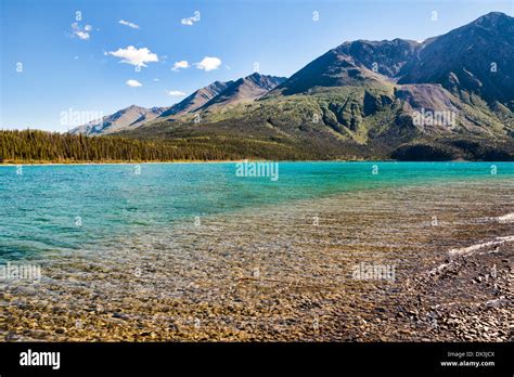 Kathleen Lake In Yukon Territory In Summer With Blue Skies Stock Photo