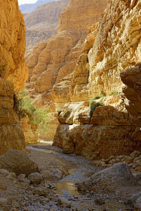 Wadi Arugot En La Reserva De Naturaleza De Ein Gedi Israel Fotografía