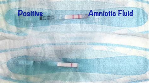 How To Tell If You Re Leaking Amniotic Fluid At Home Cyndy Tyree