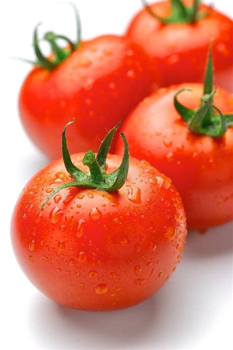 Tomato Stock Image Image Of Produce Ripe Tomato Isolated 25211279