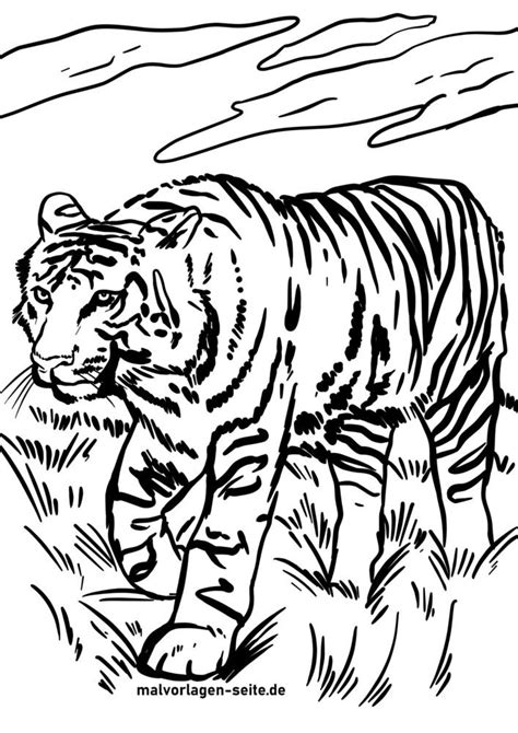 Malvorlagen Tiger Zum Ausmalen