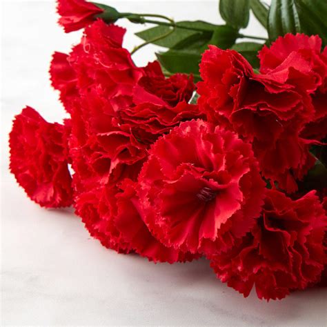 More images for how to paint carnations » Red Artificial Carnation Bush - Bushes + Bouquets - Floral ...