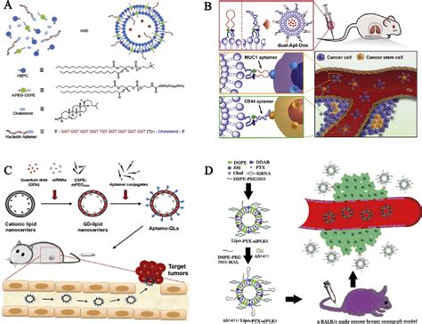 Aptamer Liposomes Drugs Conjugated System A Schematic Illustration